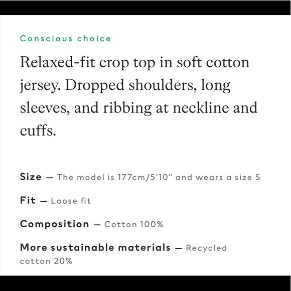 H&M CROPPED SWEATSHIRT | size: L NWOT - Picture 6 of 6